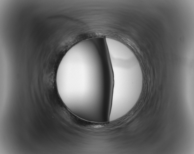 X0000087560509200704270928