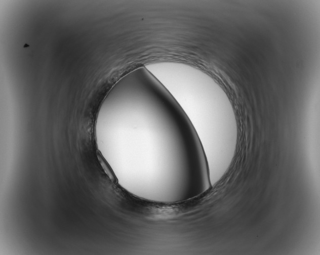 X0000087560513200704270928
