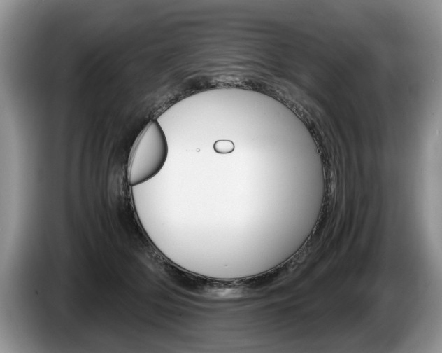 X0000087560514200704270928