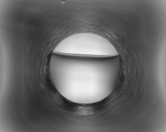 X0000087560515200704270928