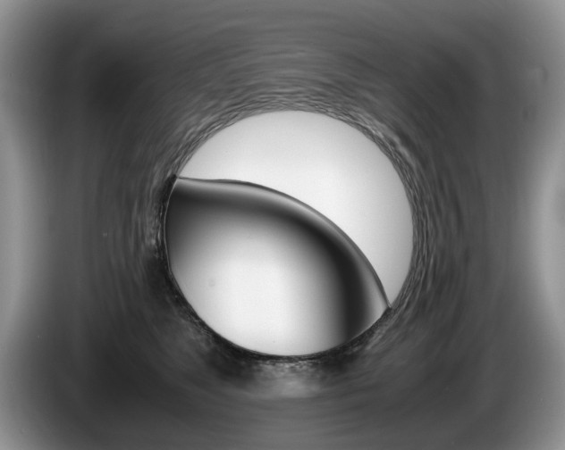 X0000087560517200704270928