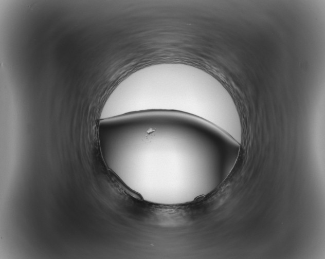 X0000087560521200704270928