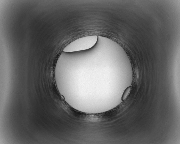 X0000087560522200704270928