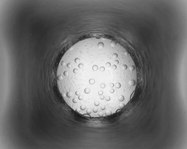 X0000087560523200704270928