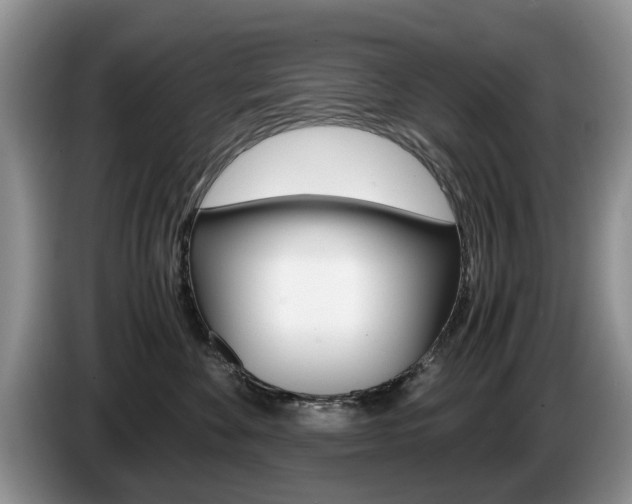 X0000087560524200704270928