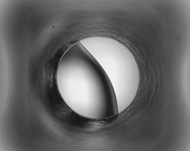 X0000087560525200704270928