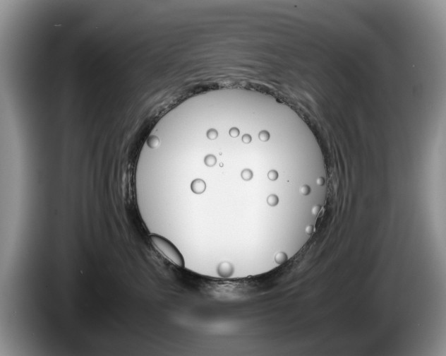 X0000087560527200704270928