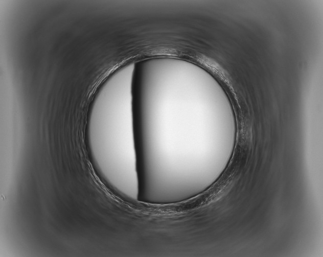 X0000087560529200704270927