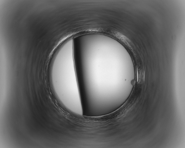 X0000087560531200704270927