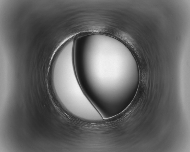 X0000087560532200704270927