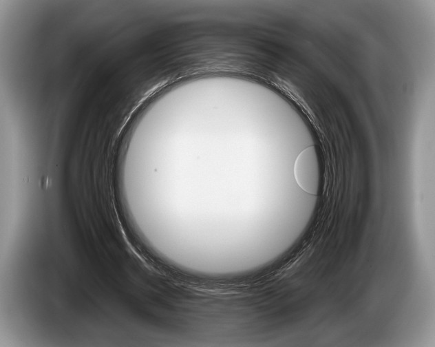 X0000087560534200704270927