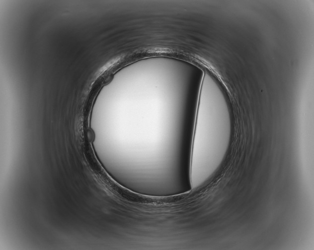 X0000087560535200704270927