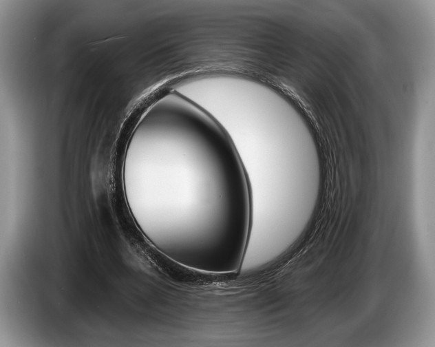 X0000087560536200704270927