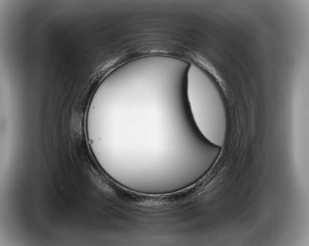 X0000087560537200704270927