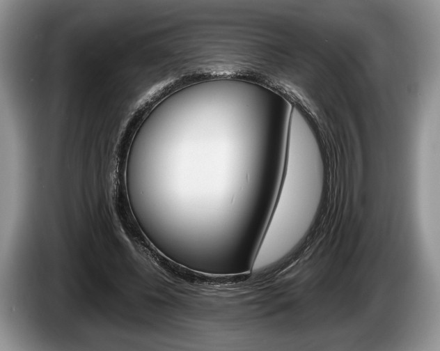 X0000087560540200704270927