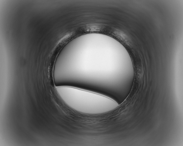 X0000087560543200704270927