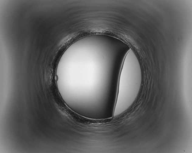 X0000087560544200704270927