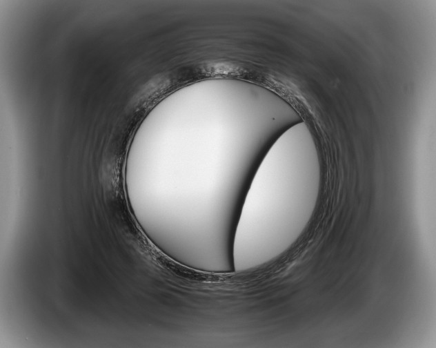 X0000087560545200704270928