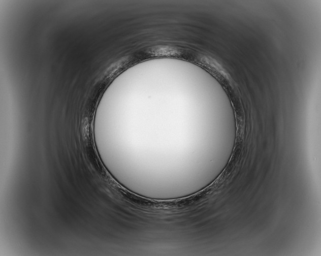 X0000087560549200704270928