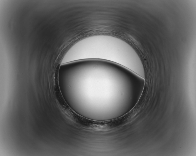 X0000087560552200704270928
