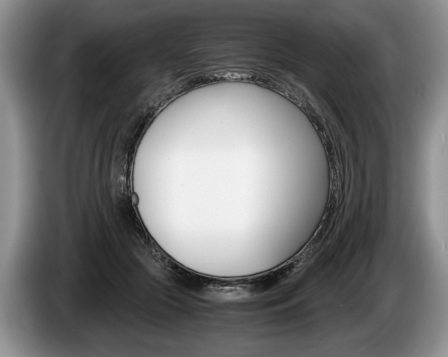 X0000087560553200704270928