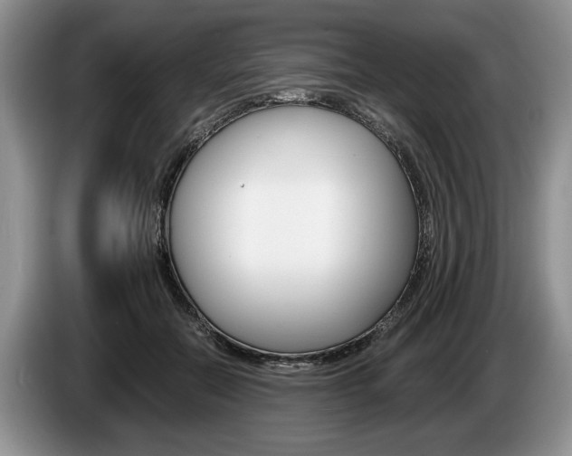 X0000087560554200704270928
