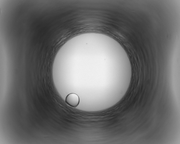 X0000087560556200704270928