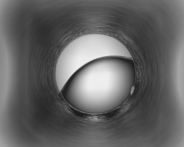 X0000087560558200704270928