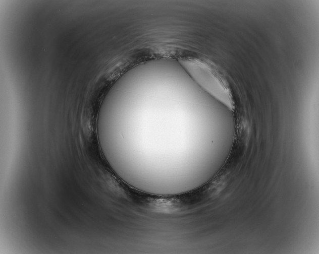 X0000087560566200704270928