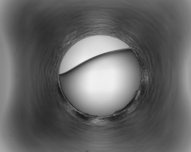 X0000087560568200704270928