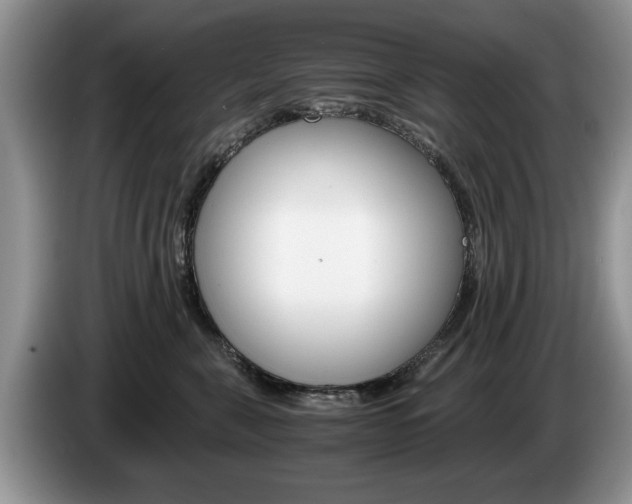 X0000087560571200704270928