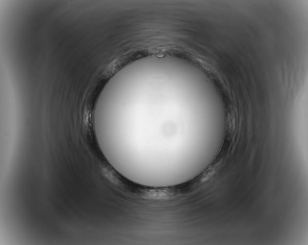 X0000087560574200704270928