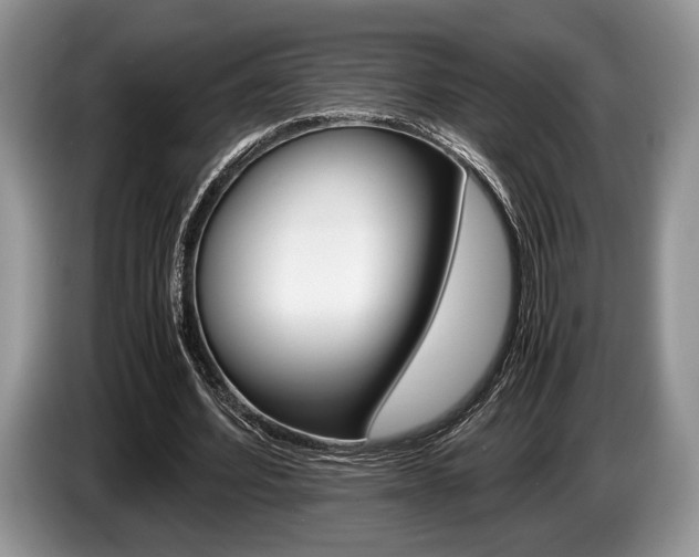 X0000087560580200704270927