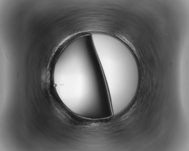 X0000087560584200704270927