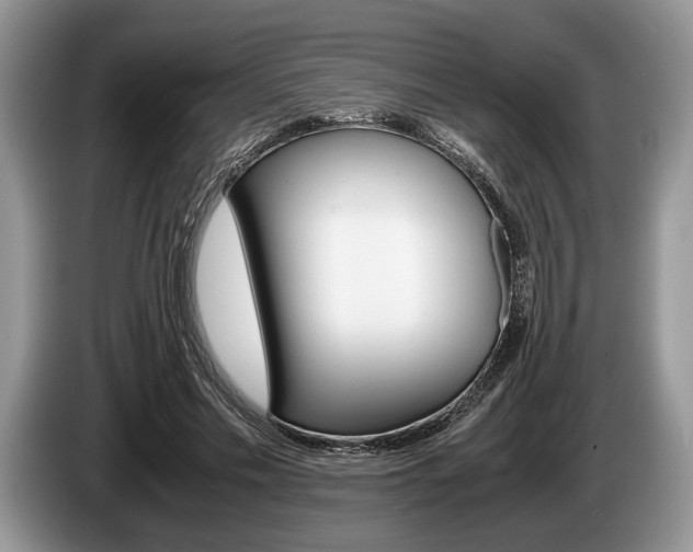 X0000087560589200704270927
