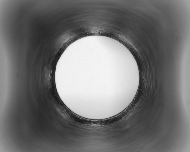 X0000087560592200704270927