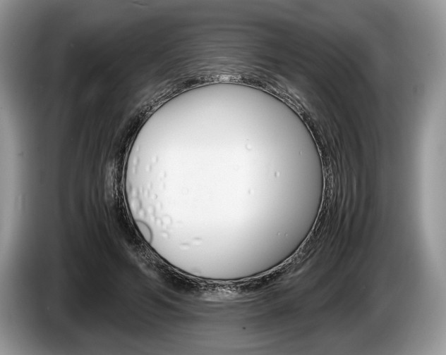 X0000087560594200704270927