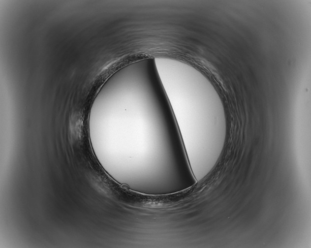 X0000087560596200704270927