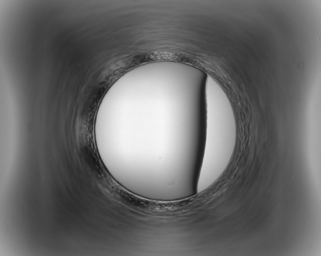 X0000087560599200704270927
