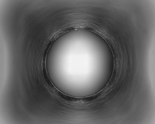X0000087560600200704270927