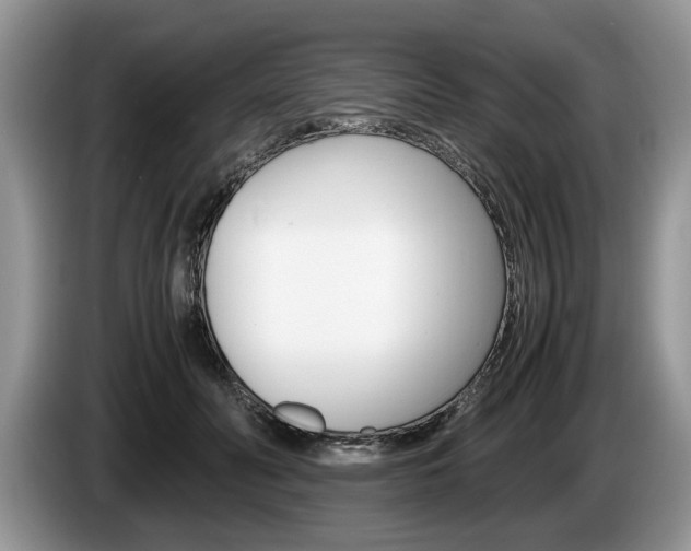 X0000087560606200704270927