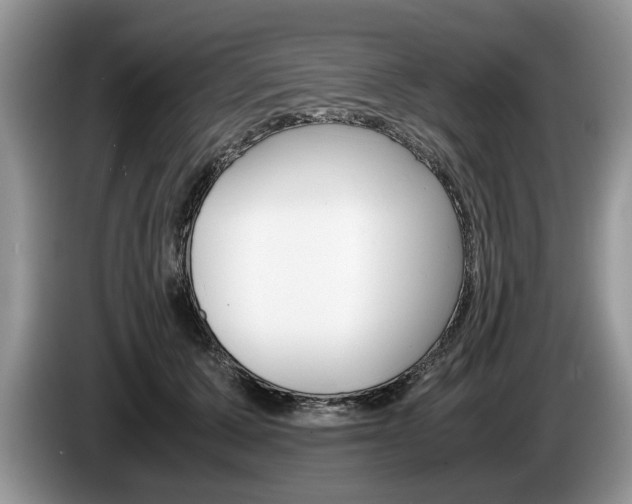 X0000087560607200704270927