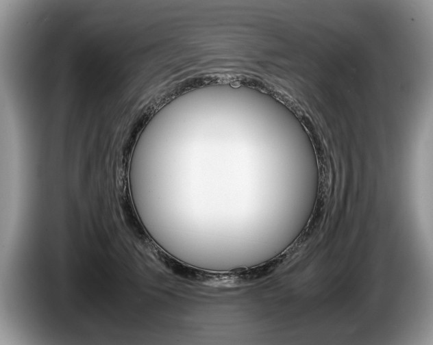 X0000087560609200704270927