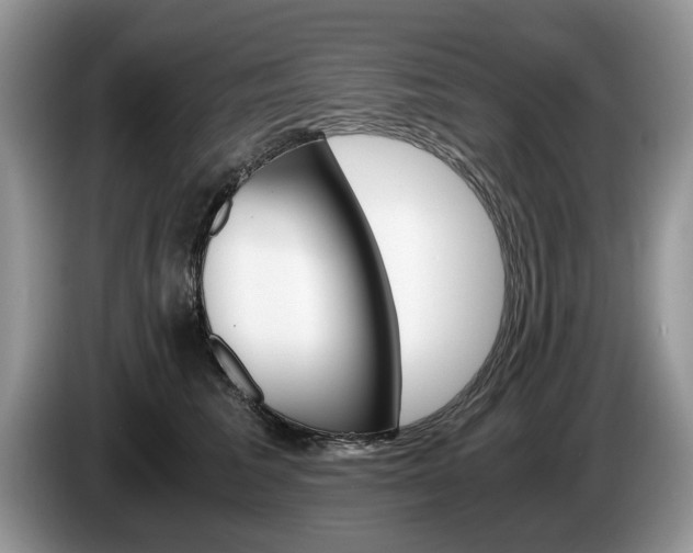 X0000087560613200704270927