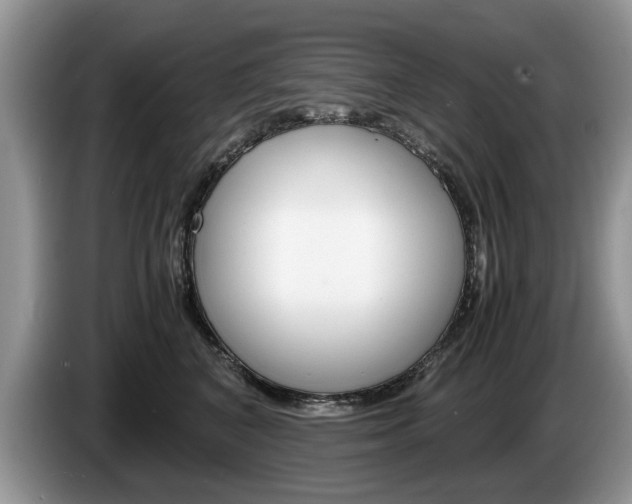 X0000087560616200704270927