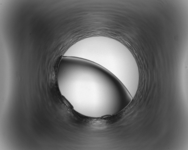 X0000087560617200704270927