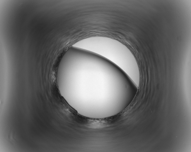 X0000087560621200704270927