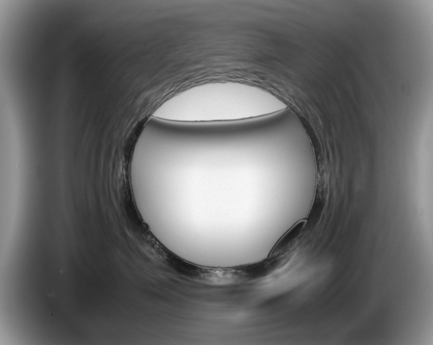 X0000087560623200704270927