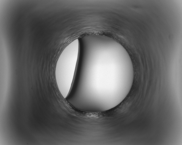 X0000087560624200704270927