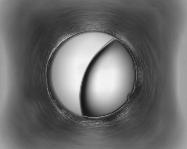 X0000087560626200704270926